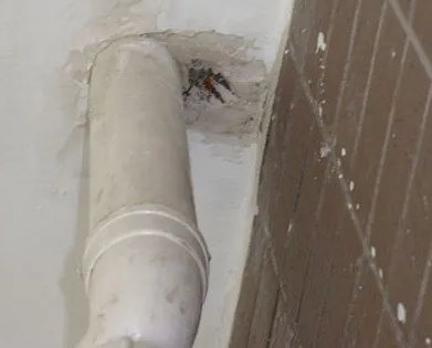 大悟漏水检测哪家好